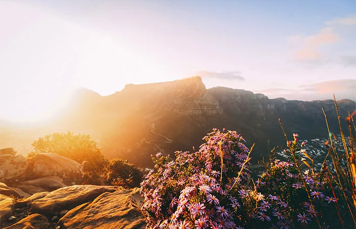 South African landscape